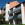 Erkrath, Schliemann Str. 25-29 (Balkone)